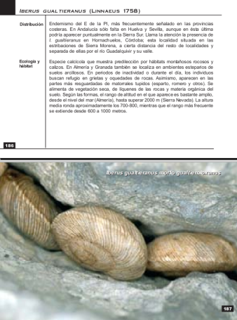 Literature review on snail farming pdf
